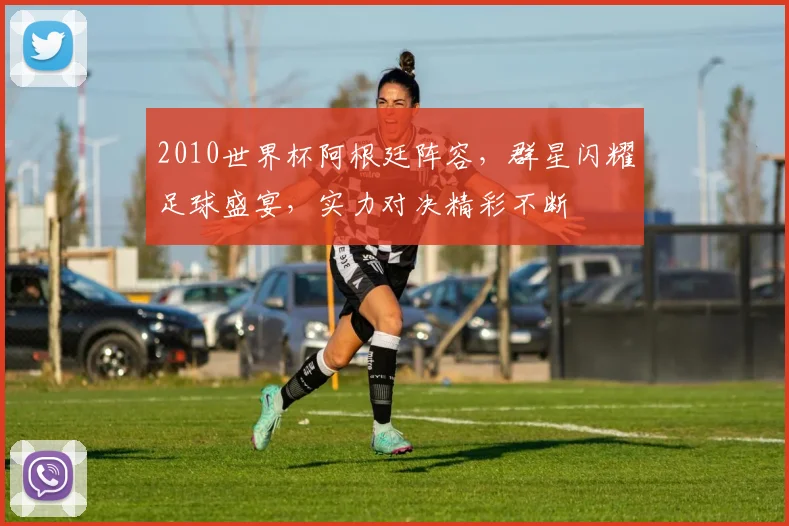 2010世界杯阿根廷阵容，群星闪耀足球盛宴，实力对决精彩不断